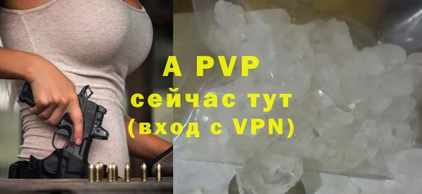 ПСИЛОЦИБИНОВЫЕ ГРИБЫ Гусев