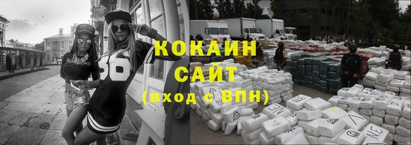 мдпв Горнозаводск